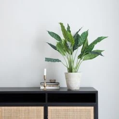 Silkkikasvit Mariavehka Tekokasvi 75 Cm -Aarikka Shop mariavehka tekokasvi 75cm web201