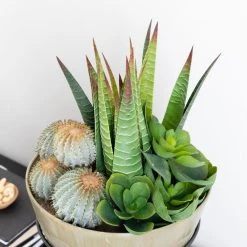 Silkkikasvit Mehikasvi- Ja Kaktusasetelma Tekokasvi 2 -Aarikka Shop mehikasvi ja kaktusasetelma tekokasvi 2 2