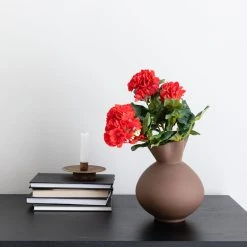 Silkkikasvit Pelargonia Tekokasvi Punainen