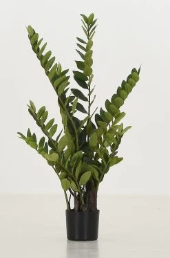 Silkkikasvit Zamioculcas Palmuvehka Tekokasvi 110 Cm 13 Silkkikasvit Zamioculcas Palmuvehka Tekokasvi 110 Cm -Aarikka Shop silkkikasvit Zamioculcas palmuvehka silkkikasvi 110 cm 0 0