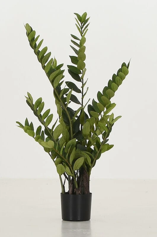 Silkkikasvit Zamioculcas Palmuvehka Tekokasvi 110 Cm 8 Silkkikasvit Zamioculcas Palmuvehka Tekokasvi 110 Cm - Image 6