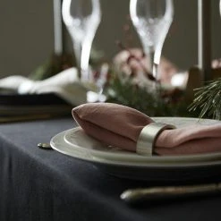 Svanefors Siri Lautasliinarenkaat 2 Kpl 4x6 Cm Hopea