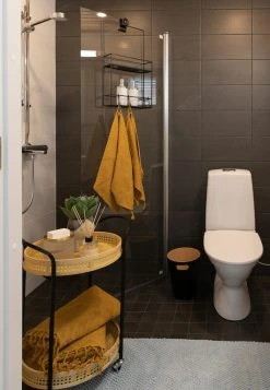 Silkkikasvit Agave Palmeri 13 Cm Tekokasvi