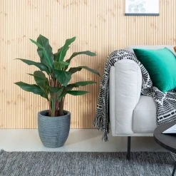 Silkkikasvit Verililjapuu Cordyline Tekokasvi 85 Cm Vaalea -Aarikka Shop verililjapuu cordyline tekokasvi 85cm tumma 2