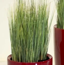 Silkkikasvit Heinä River Grass Viiltoheinä Tekokasvi 50 Cm Vihreäruskea