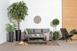 Silkkikasvit Ivy English Bush Iso Muratti Tekokasvi -Aarikka Shop vila orust 3 istuttava sohva miljoossa web 19 1