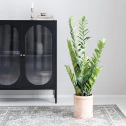 Silkkikasvit Zamioculcas Palmuvehka Tekokasvi 110 Cm 10 Silkkikasvit Zamioculcas Palmuvehka Tekokasvi 110 Cm -Aarikka Shop zamioculcas palmuvehka tekokasvi 110cm web